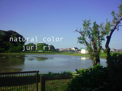 c0063808_1352463.jpg