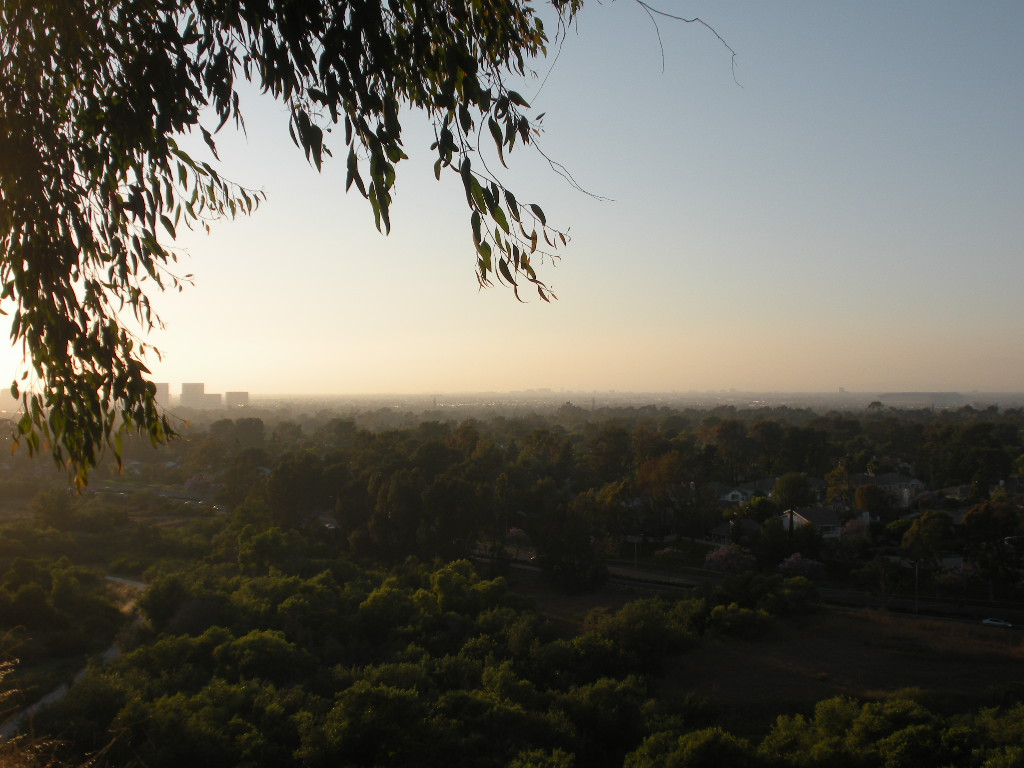 a0144811_15362077.jpg