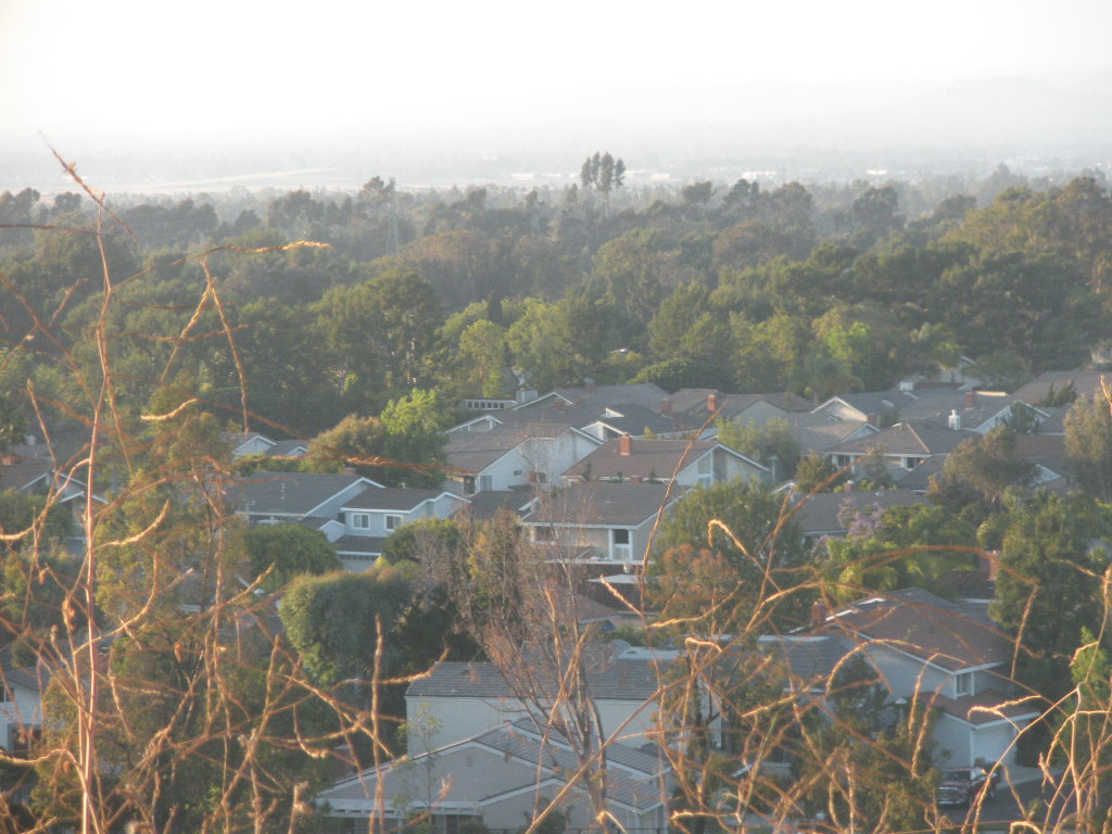 a0144811_1536434.jpg