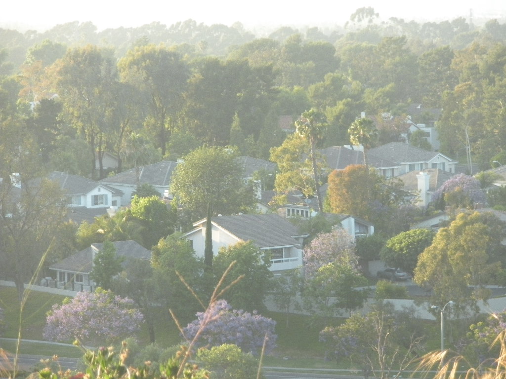 a0144811_15365492.jpg