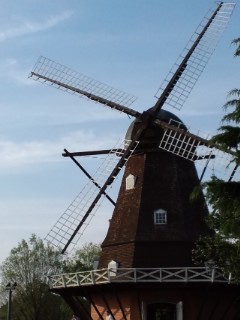 d0076117_2049675.jpg