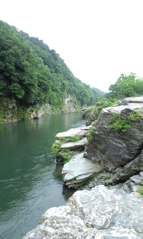 b0149320_2213082.jpg