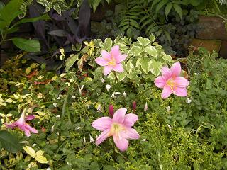 c0204121_1714834.jpg