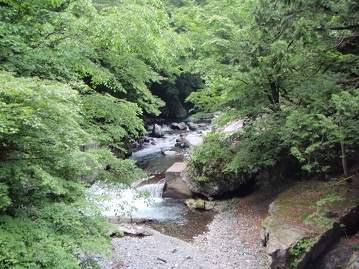 e0138321_20444431.jpg