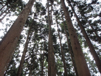 e0138321_21334559.jpg