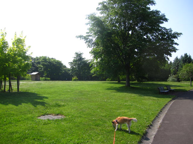 e0191826_2250146.jpg