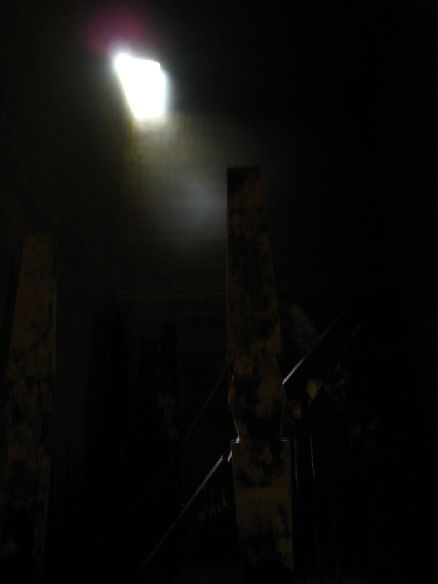 f0085728_8584382.jpg