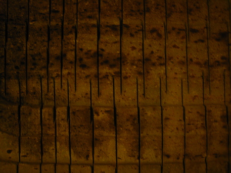 f0085728_91636.jpg
