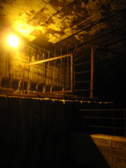 f0085728_965876.jpg