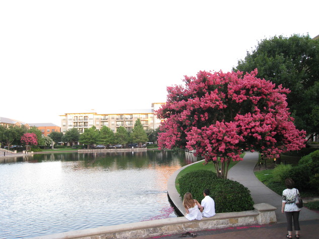 f0238932_1621238.jpg