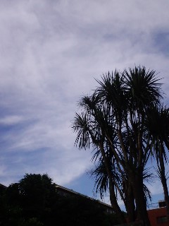 e0059834_20195975.jpg