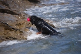 c0136838_22284445.jpg