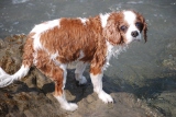 c0136838_2237559.jpg