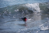 c0136838_2321479.jpg