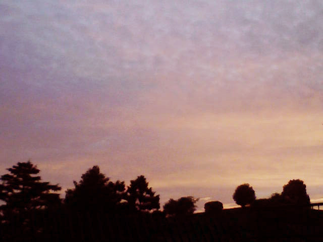 e0089438_2111162.jpg