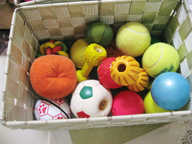 a0149240_10433270.jpg
