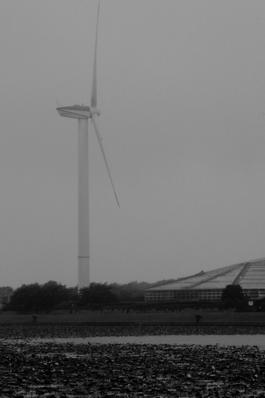 d0152341_2351619.jpg