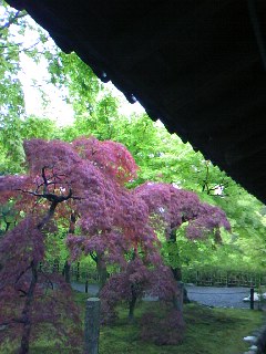 a0116442_2136469.jpg