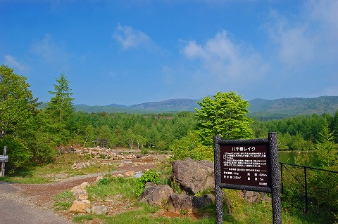 d0164443_13384223.jpg