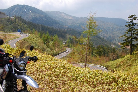 d0164443_13473565.jpg