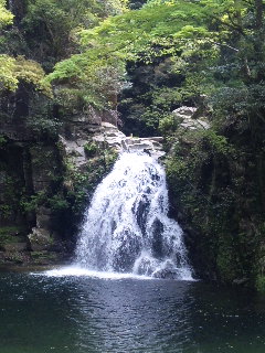 a0130149_1724945.jpg
