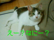 c0052756_231181.jpg
