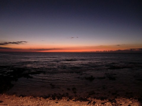e0033156_18264475.jpg