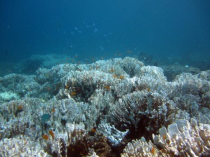 f0176156_12353485.jpg