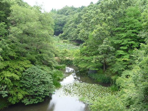 b0045357_855017.jpg