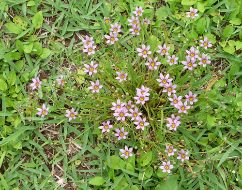 b0045357_859533.jpg