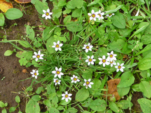 b0045357_8595631.jpg