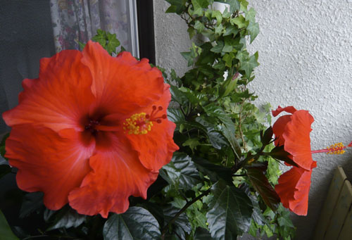 c0122157_1323561.jpg