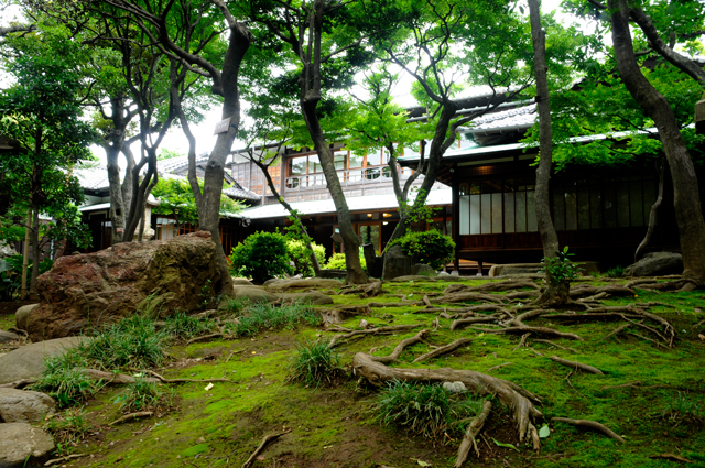 f0176458_8491753.jpg