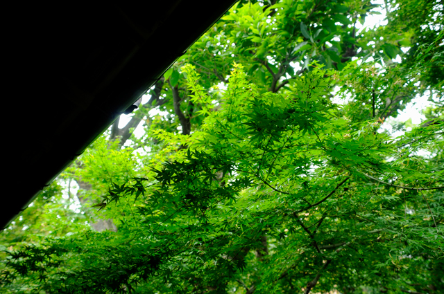 f0176458_8503162.jpg