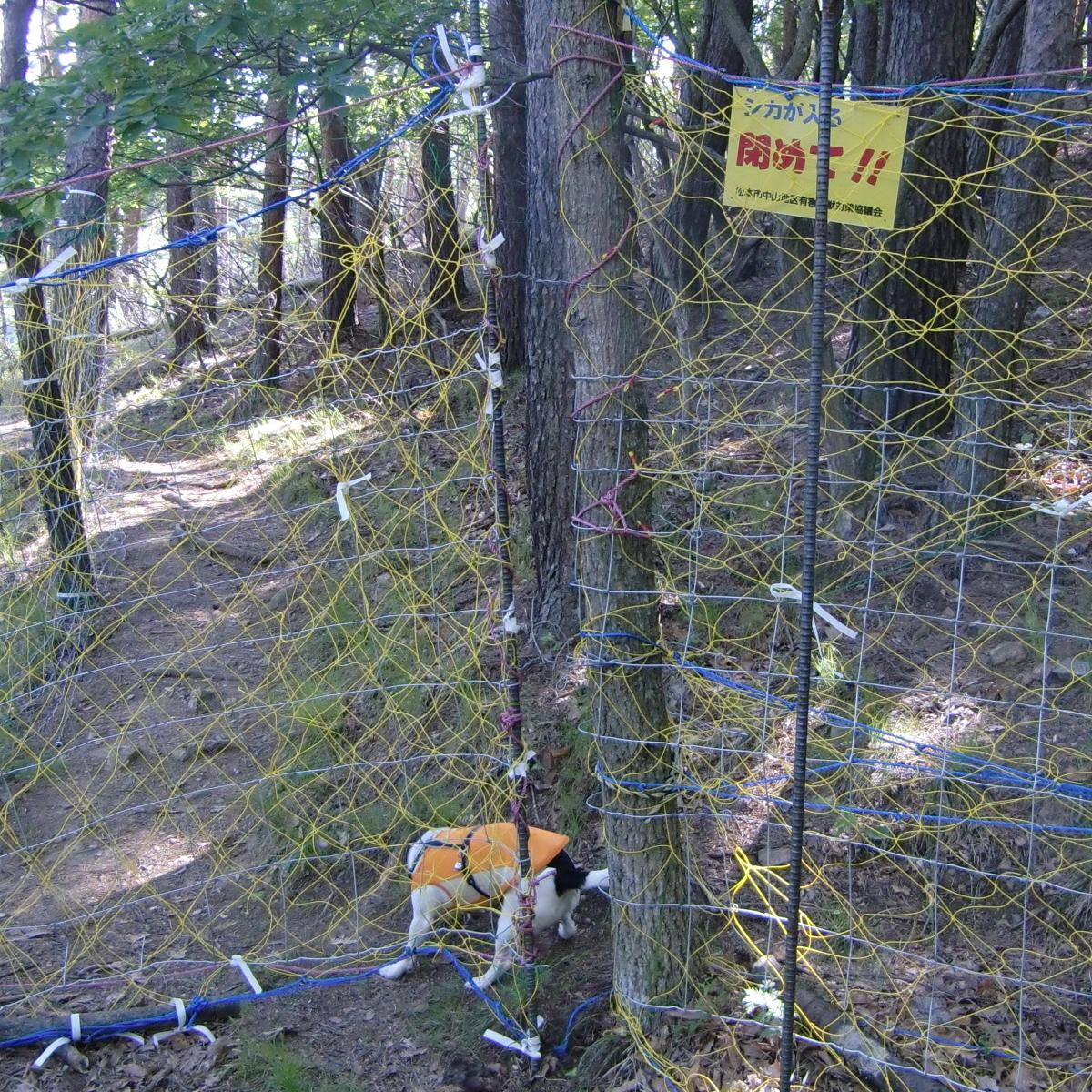 c0140260_22531011.jpg