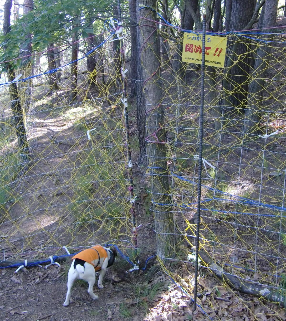 c0140260_22532789.jpg
