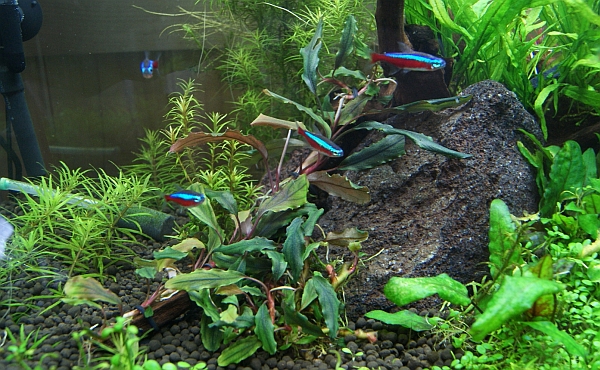 c0219160_12232834.jpg