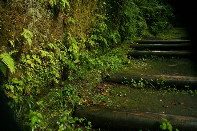 c0092263_583848.jpg