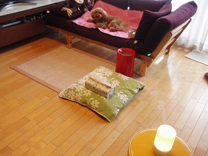 c0135363_4131687.jpg