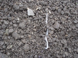 f0055264_20433634.jpg