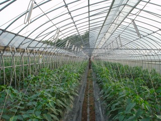 f0055264_2182082.jpg