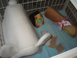 e0142065_2253119.jpg