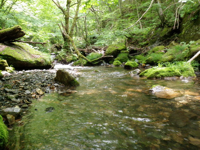 b0120066_17465112.jpg