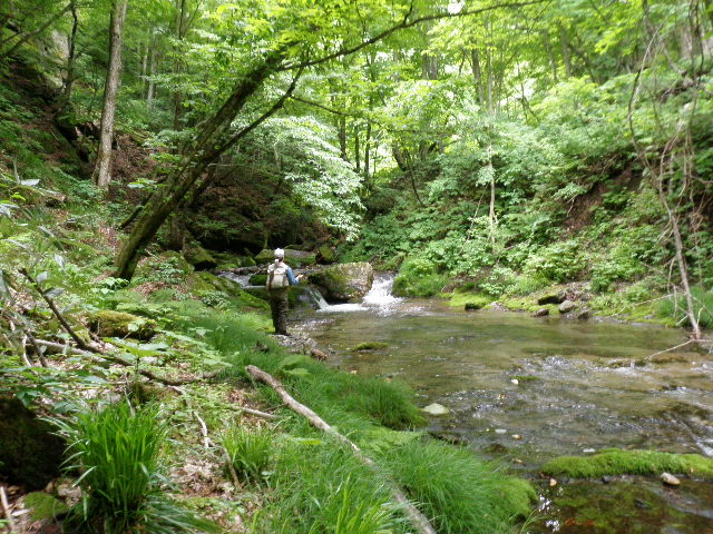 b0120066_17493267.jpg