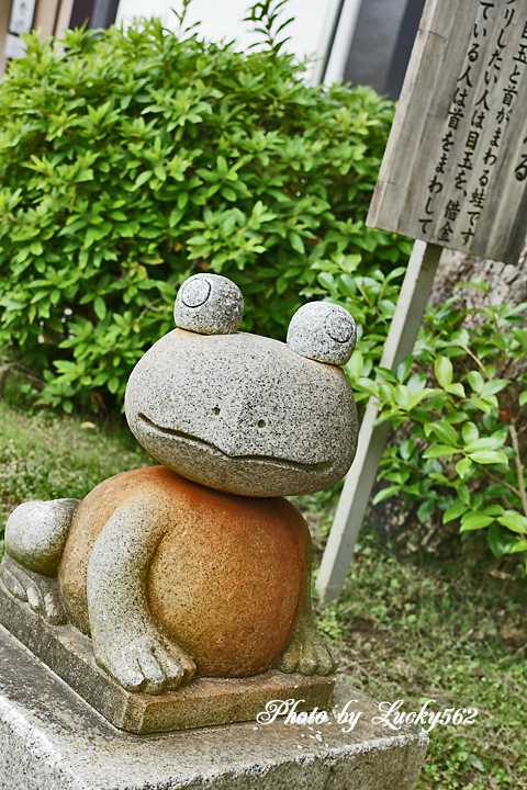 e0002371_14937.jpg