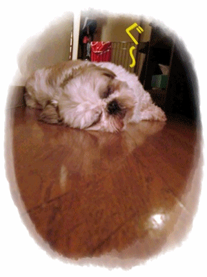 f0213476_16532683.gif