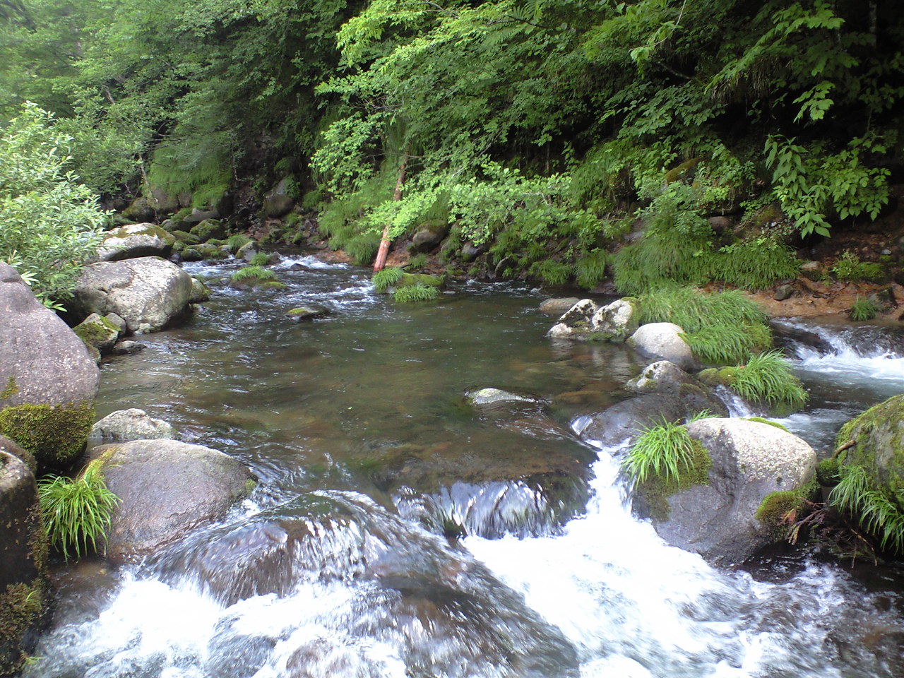 a0093677_21583131.jpg