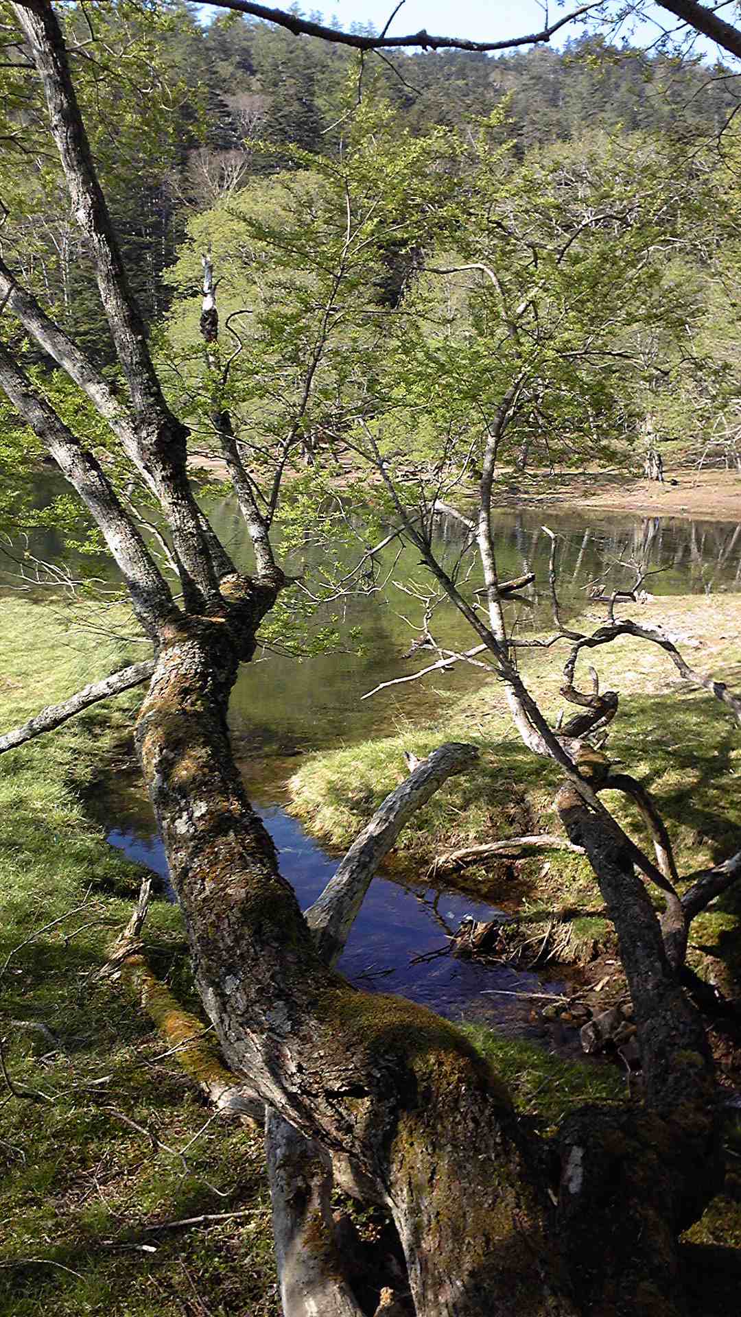 f0187981_16304526.jpg