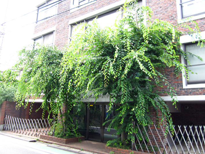 a0164984_2124811.jpg