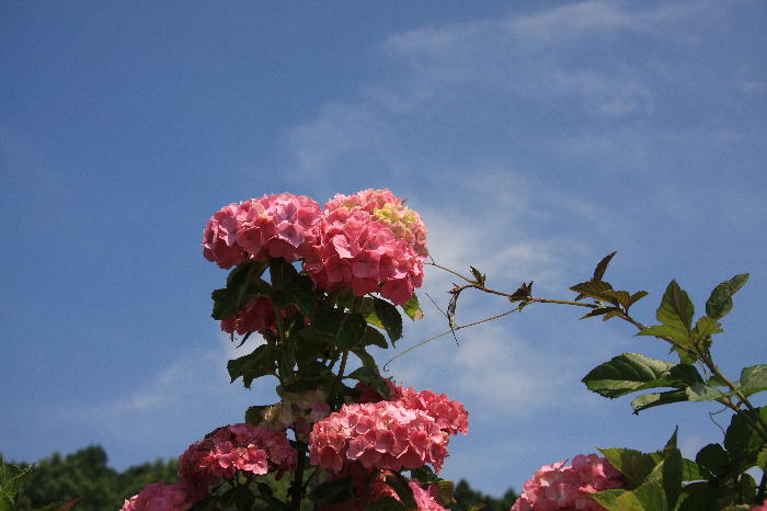 b0171185_0225042.jpg